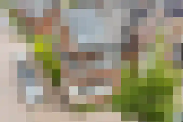 Beeldentuinlaan 79 Vleuten thumbnail 72