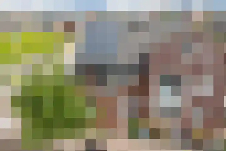 Beeldentuinlaan 79 Vleuten thumbnail 73
