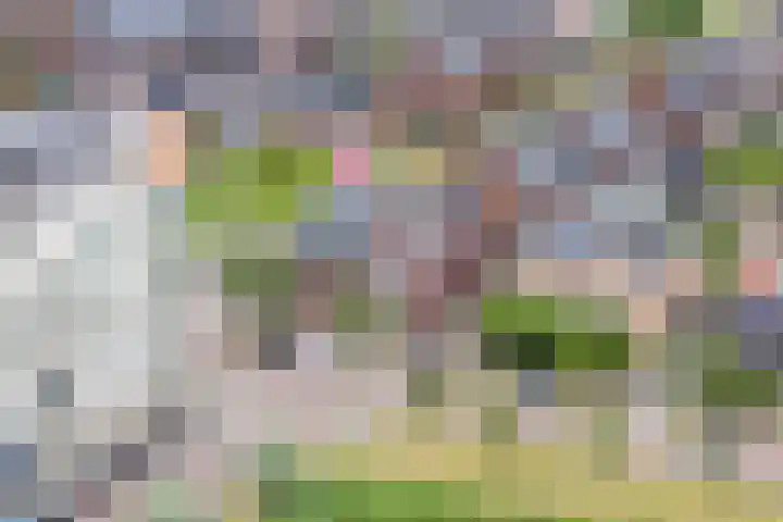 Beeldentuinlaan 79 Vleuten thumbnail 74