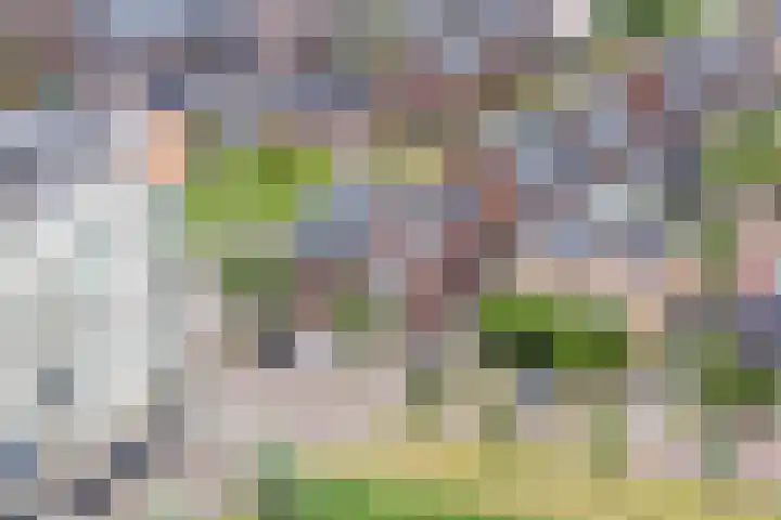 Beeldentuinlaan 79 Vleuten thumbnail 75