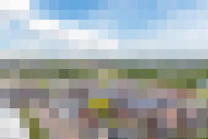 Beeldentuinlaan 79 Vleuten thumbnail 77