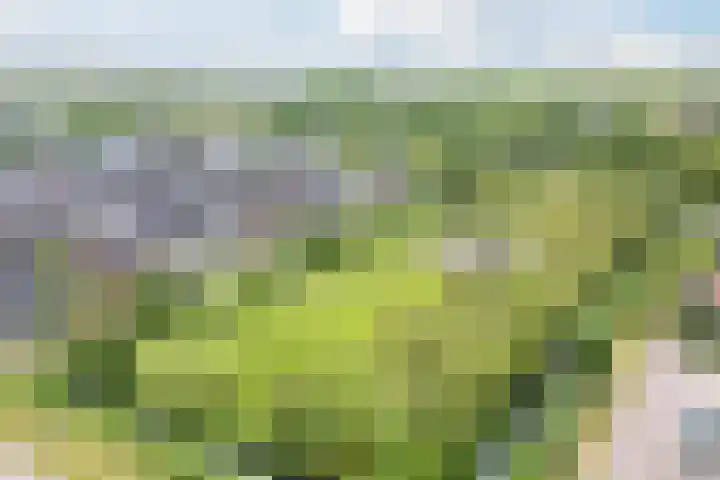 Beeldentuinlaan 79 Vleuten thumbnail 78