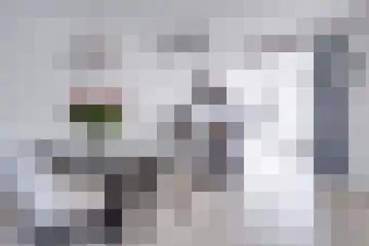 Beeldhouwersdijk 49 Utrecht thumbnail 16