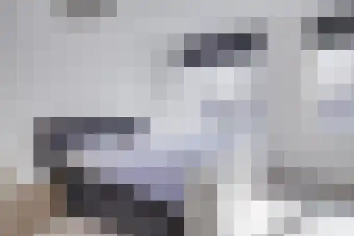 Beeldhouwersdijk 49 Utrecht thumbnail 33