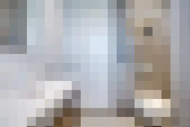 Beeldhouwersdijk 49 Utrecht thumbnail 42