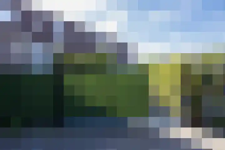 Beeldhouwersdijk 49 Utrecht thumbnail 53