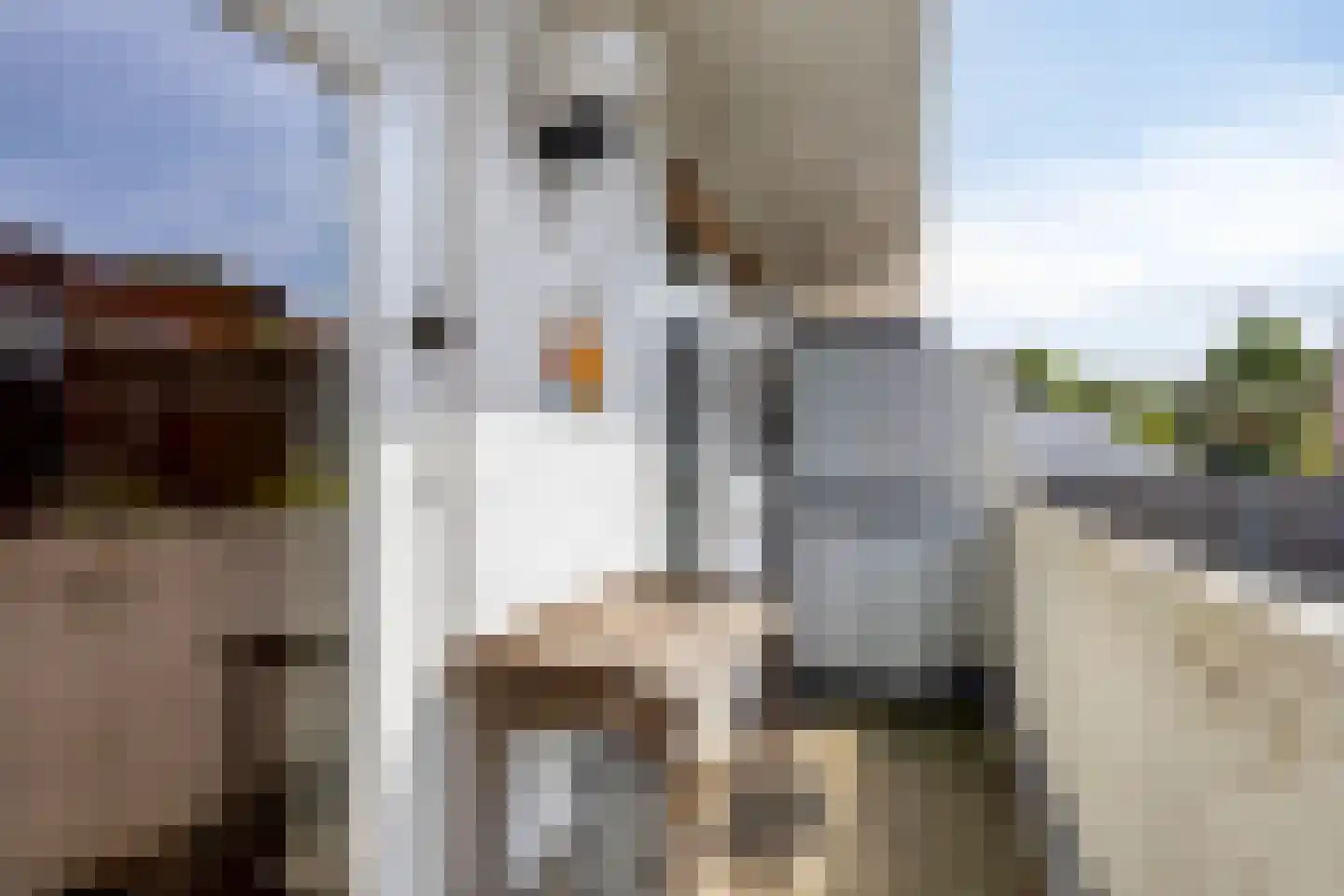 Beeldhouwerstraat 26 Arnhem thumbnail 12