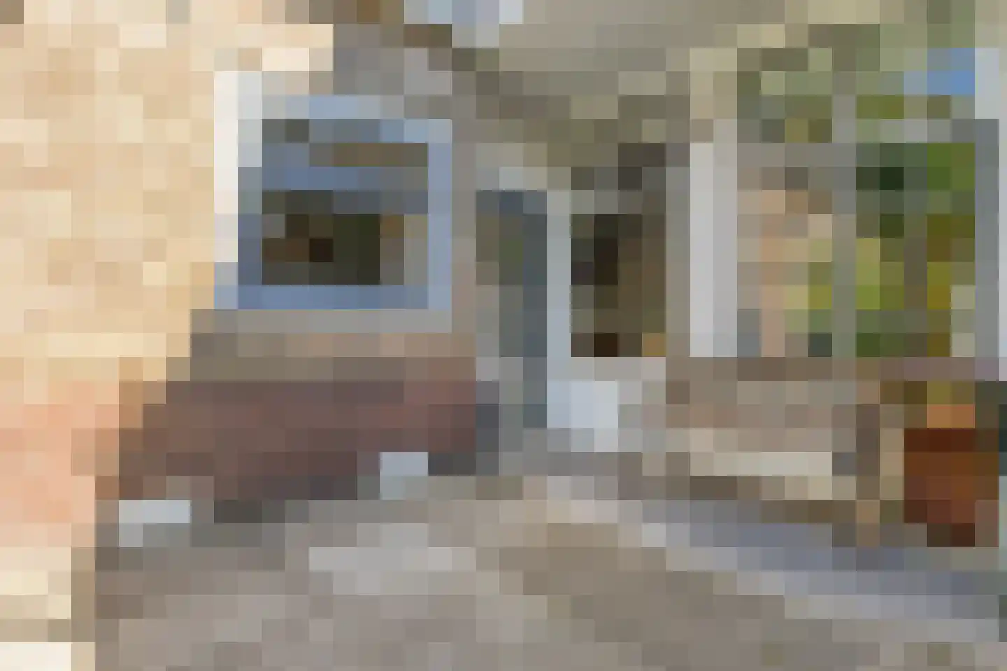 Beeldhouwerstraat 40 Arnhem thumbnail 27