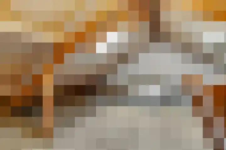 Beeldsnijdererf 7 Roermond thumbnail 18