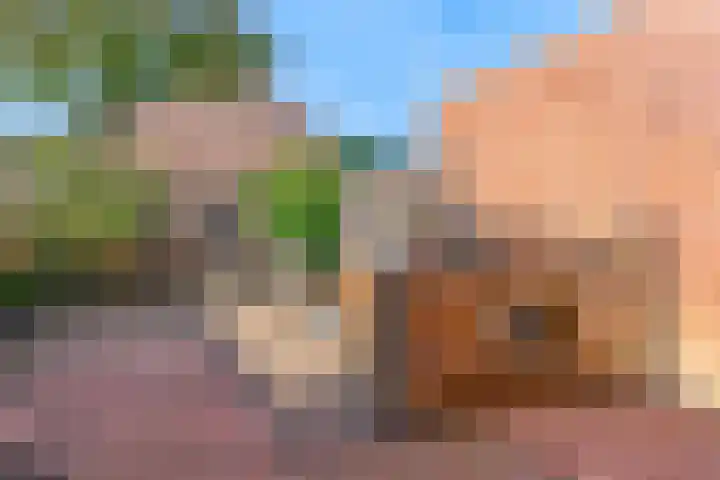 Beeldsnijdererf 7 Roermond thumbnail 21