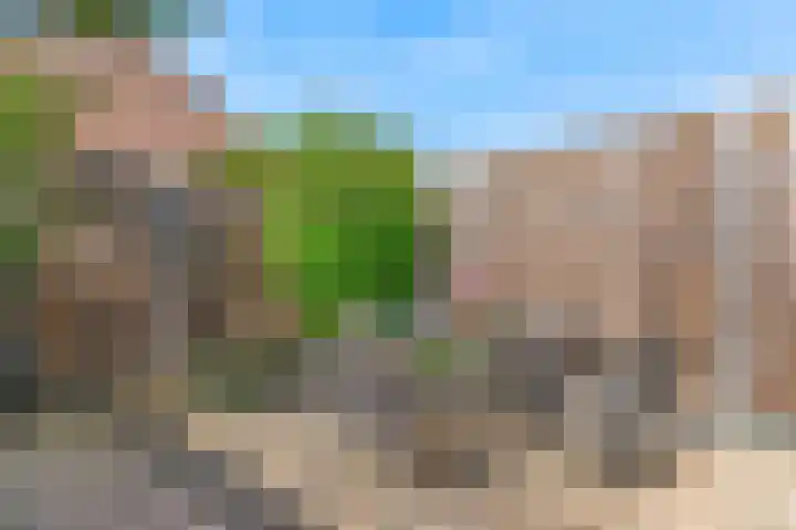 Beeldsnijdererf 7 Roermond thumbnail 22