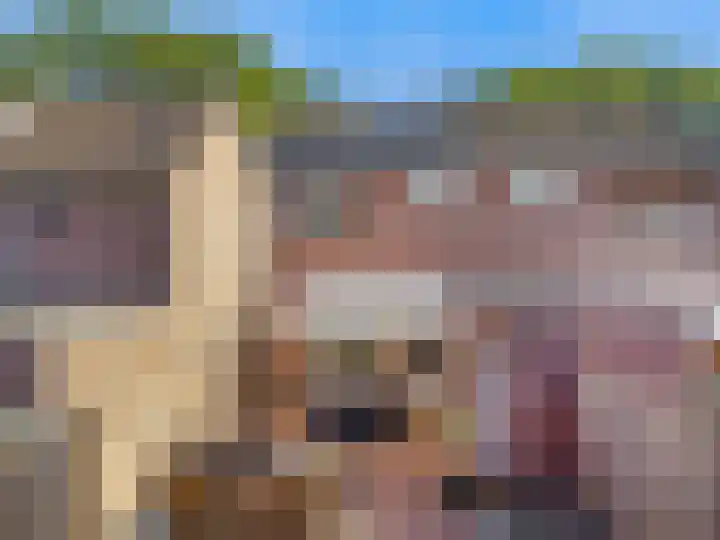 Beeldsnijdererf 7 Roermond thumbnail 23