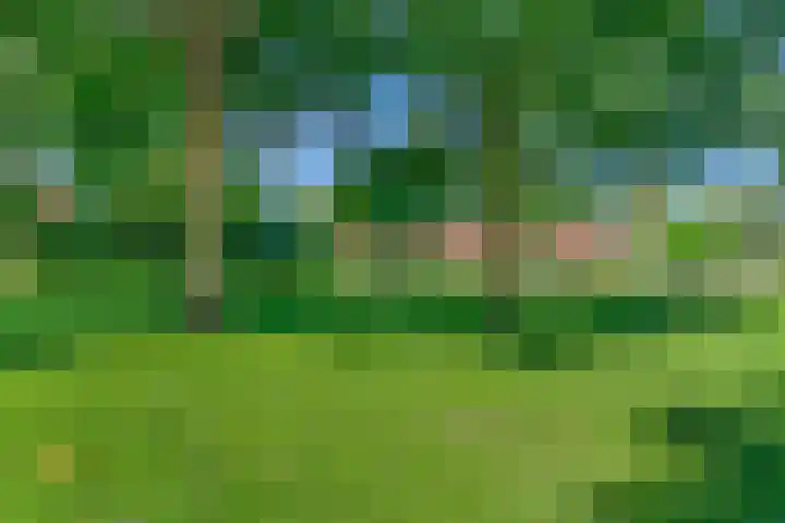 Beeldsnijdererf 7 Roermond thumbnail 25