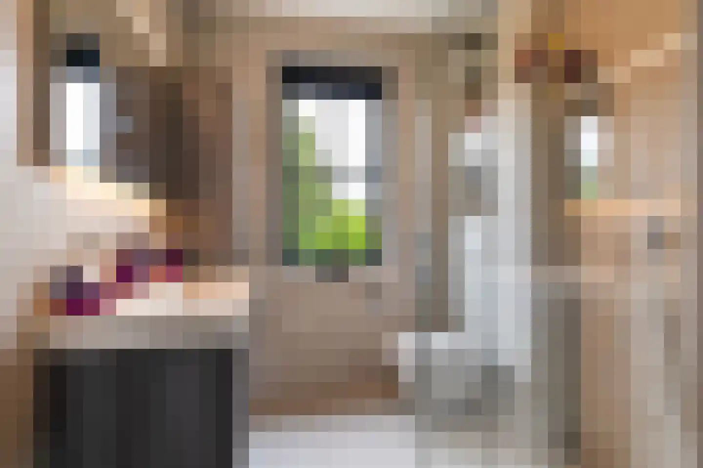 Beeldsnijderpad 5 Zwaag thumbnail 12