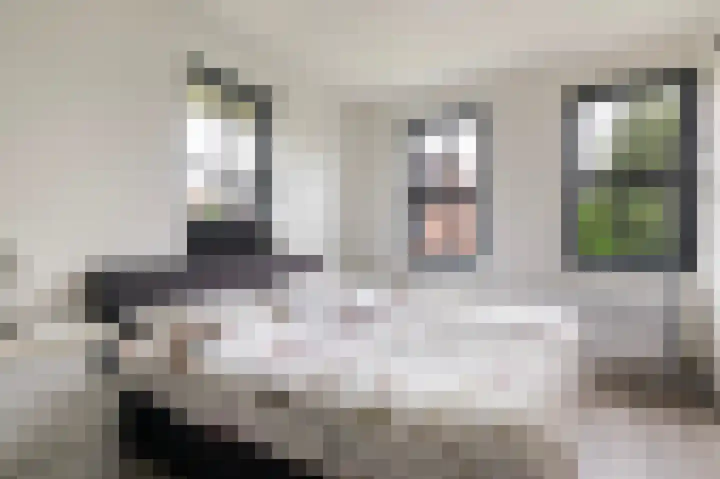 Beeldsnijderpad 5 Zwaag thumbnail 14