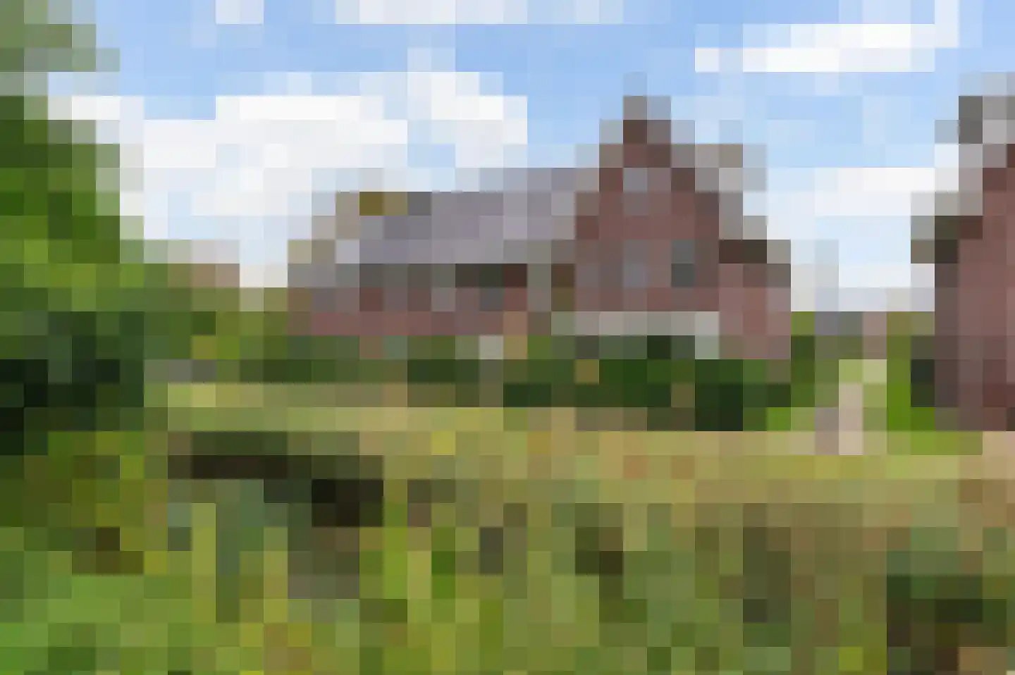 Beeldsnijderpad 5 Zwaag foto 2
