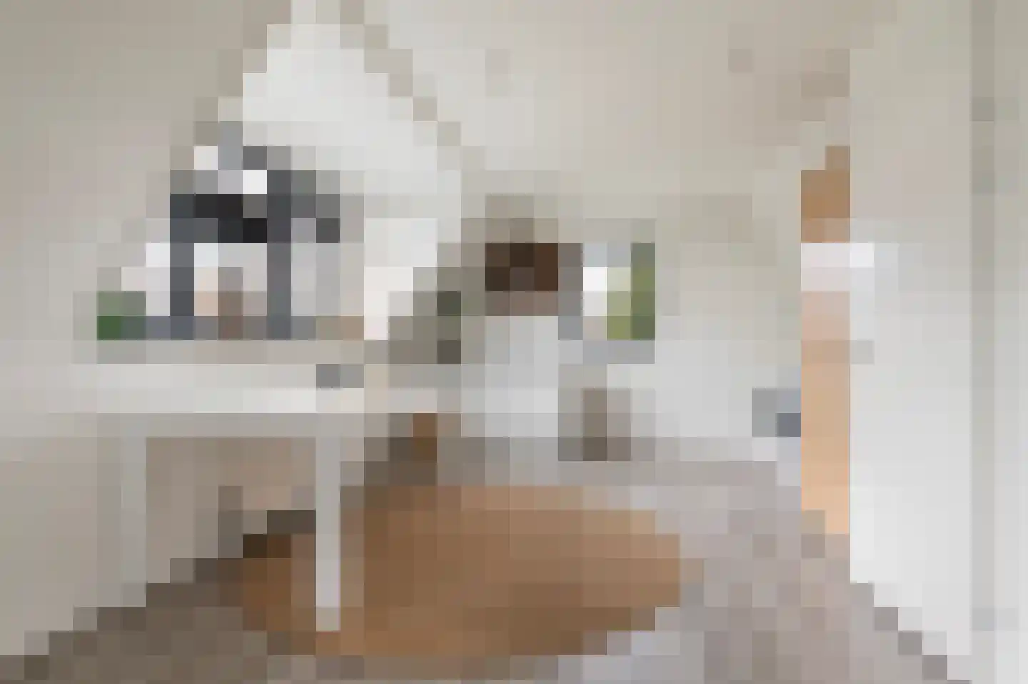 Beeldsnijderpad 5 Zwaag thumbnail 21