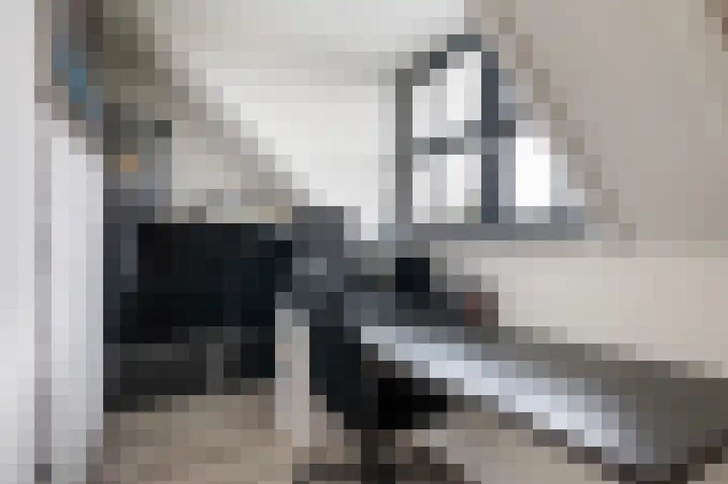 Beeldsnijderpad 5 Zwaag thumbnail 22