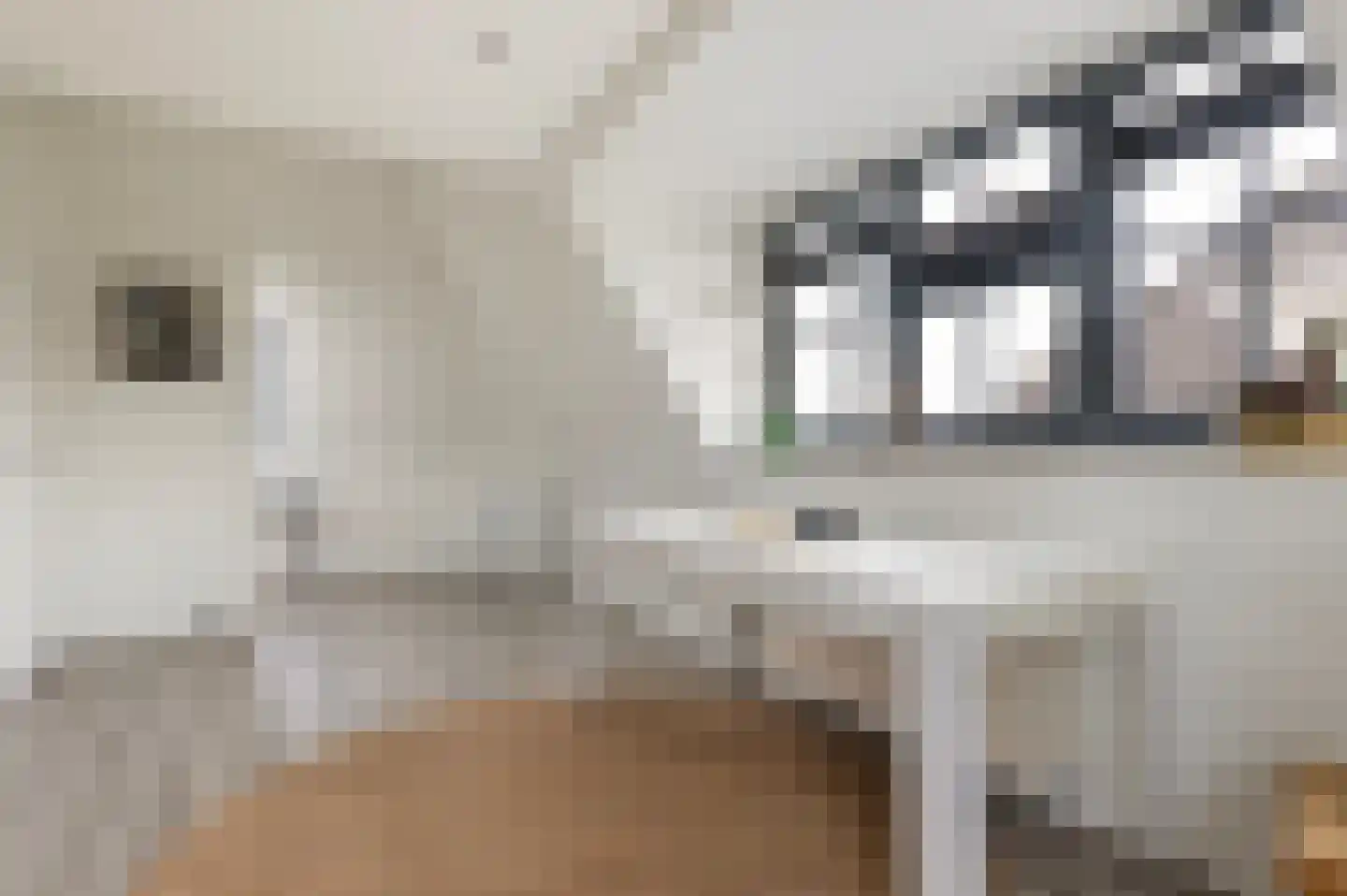Beeldsnijderpad 5 Zwaag thumbnail 23