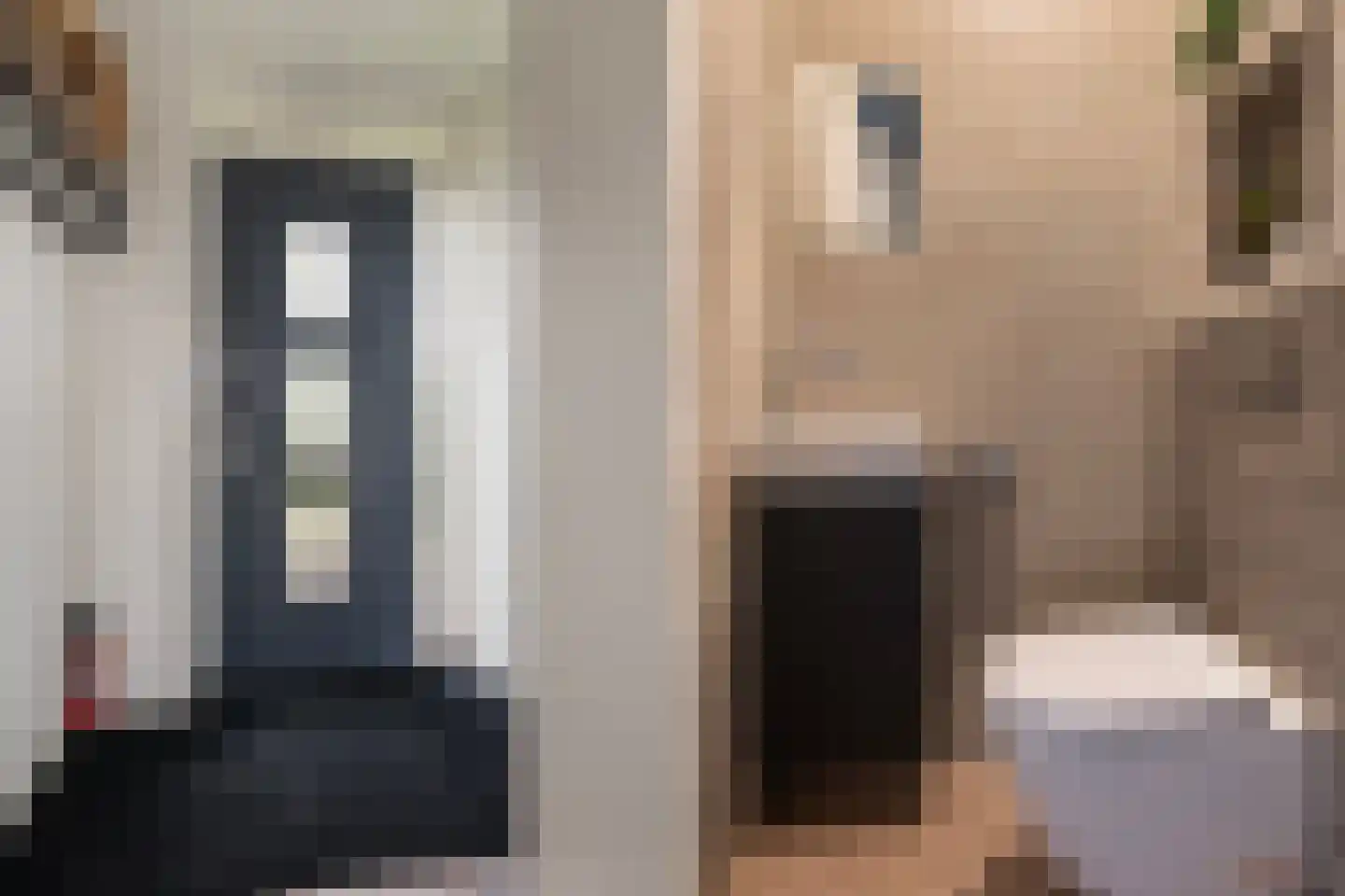 Beeldsnijderpad 5 Zwaag thumbnail 24