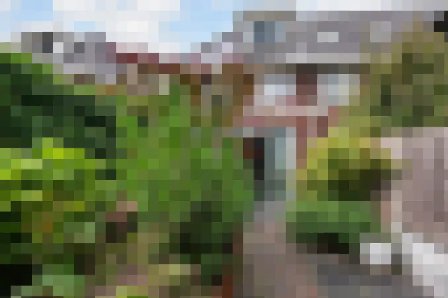 Beeldsnijderpad 5 Zwaag thumbnail 28