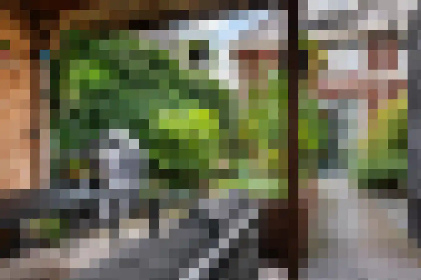 Beeldsnijderpad 5 Zwaag thumbnail 29