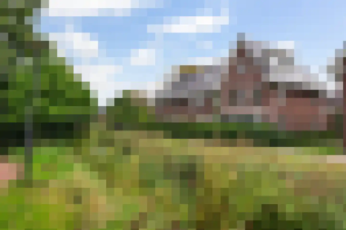 Beeldsnijderpad 5 Zwaag thumbnail 36