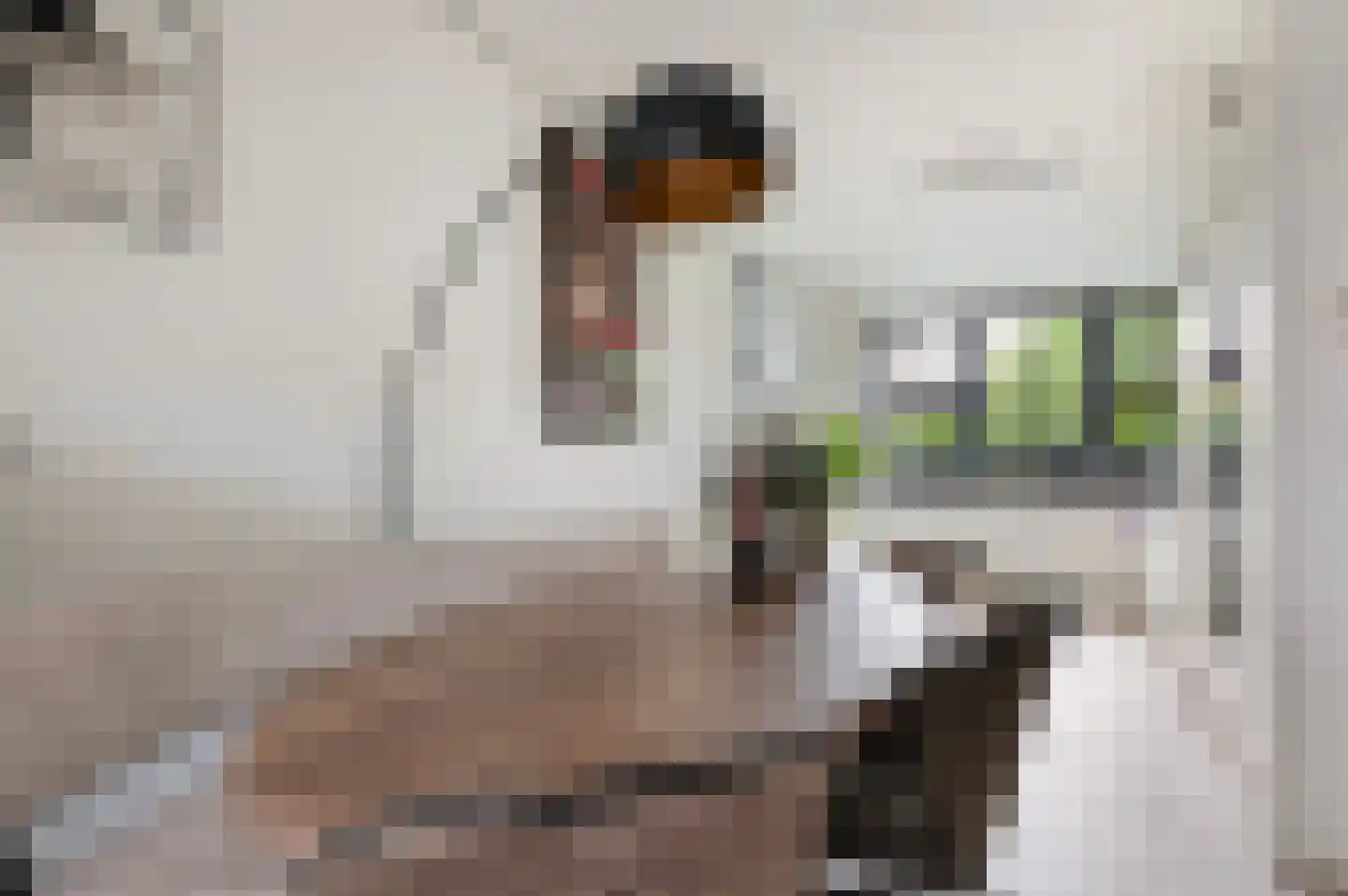 Beeldsnijderpad 5 Zwaag thumbnail 8