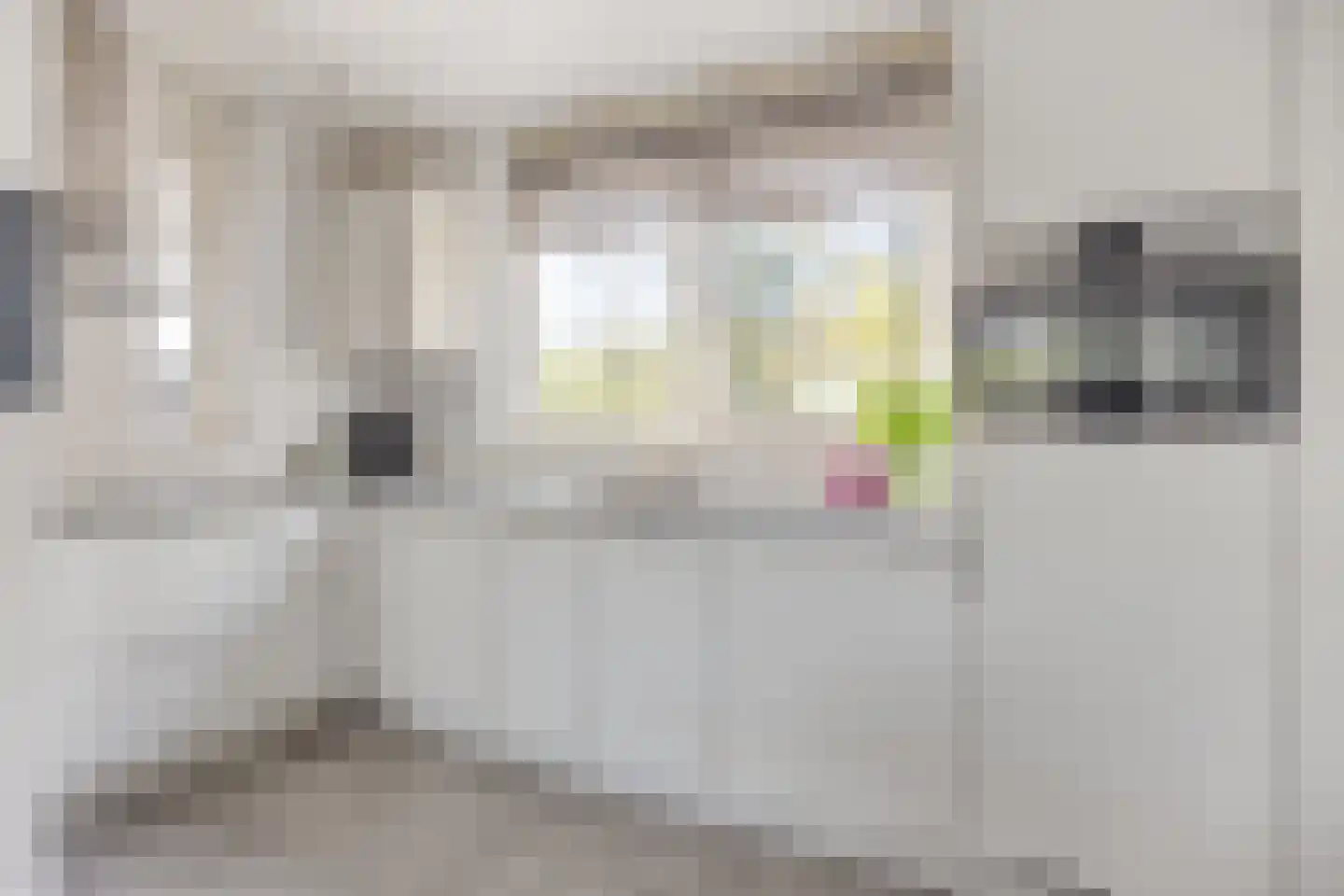 Beeldsnijdersdreef 63 Maastricht thumbnail 8