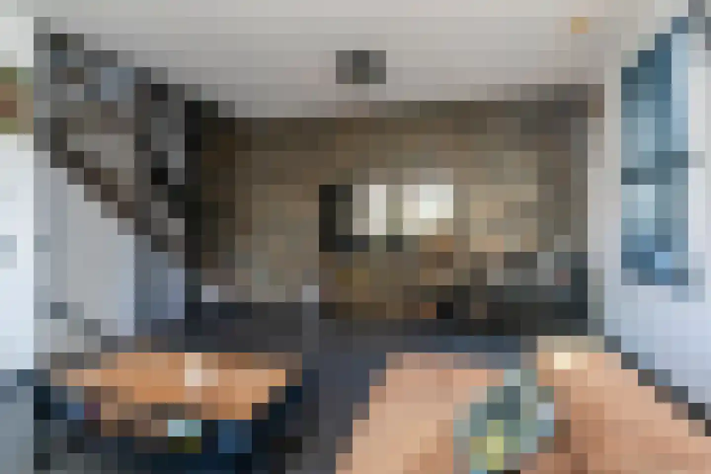 Beeldsnijdersgaarde 21 Den Haag thumbnail 14