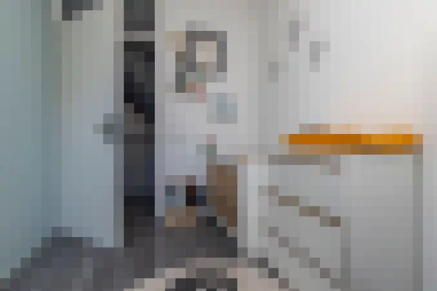 Beeldsnijdersgaarde 21 Den Haag thumbnail 22