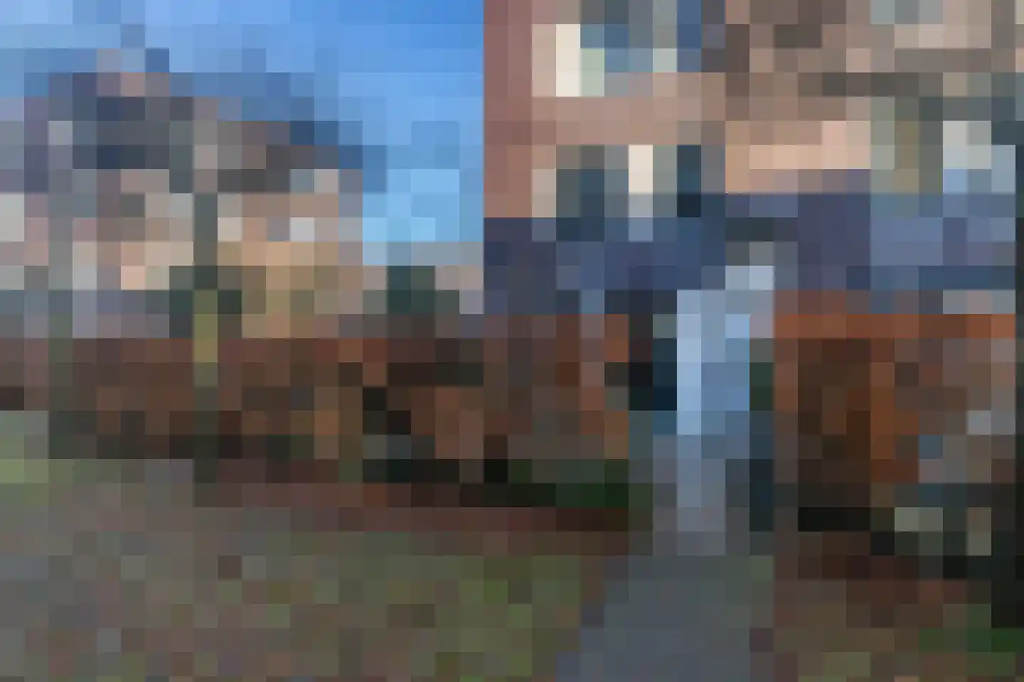 Beeldsnijdersgaarde 21 Den Haag thumbnail 5