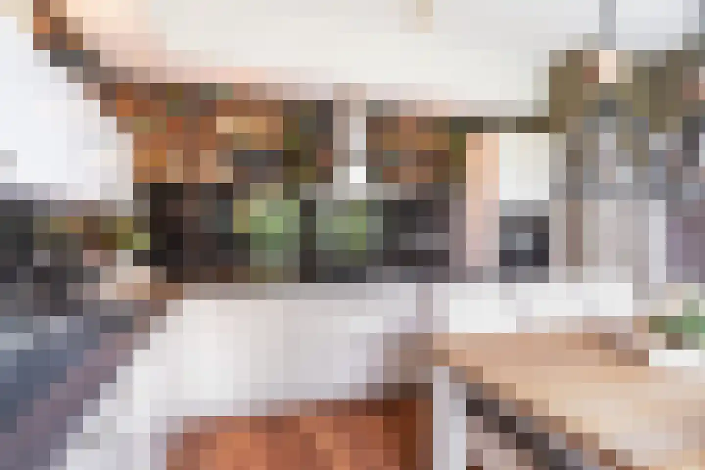 Beeldsnijdersgaarde 32 Den Haag thumbnail 8