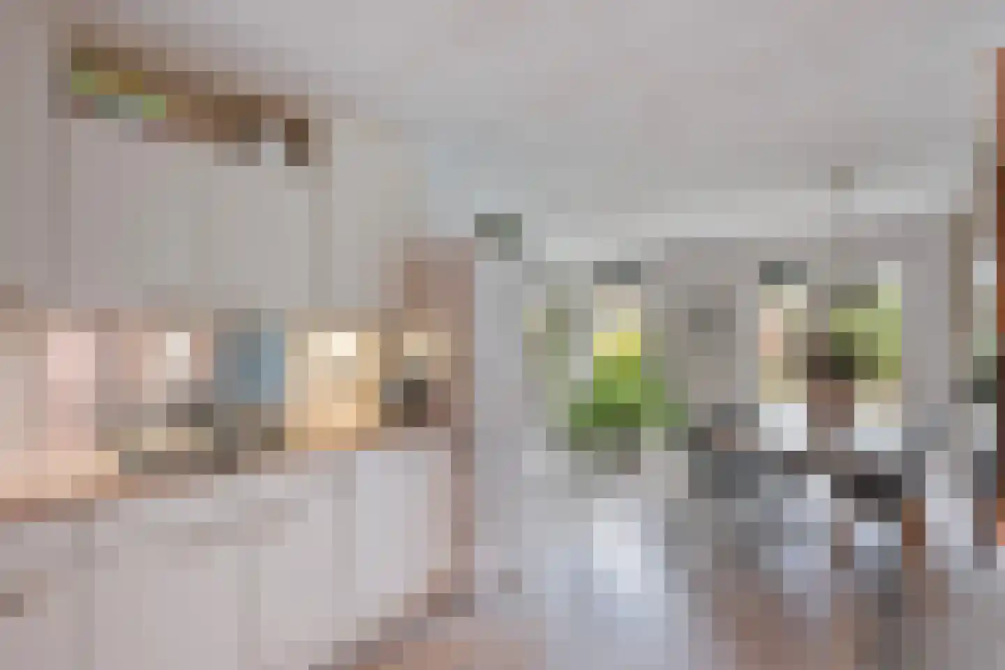 Beeldsnijderstraat 154 Zwolle thumbnail 13