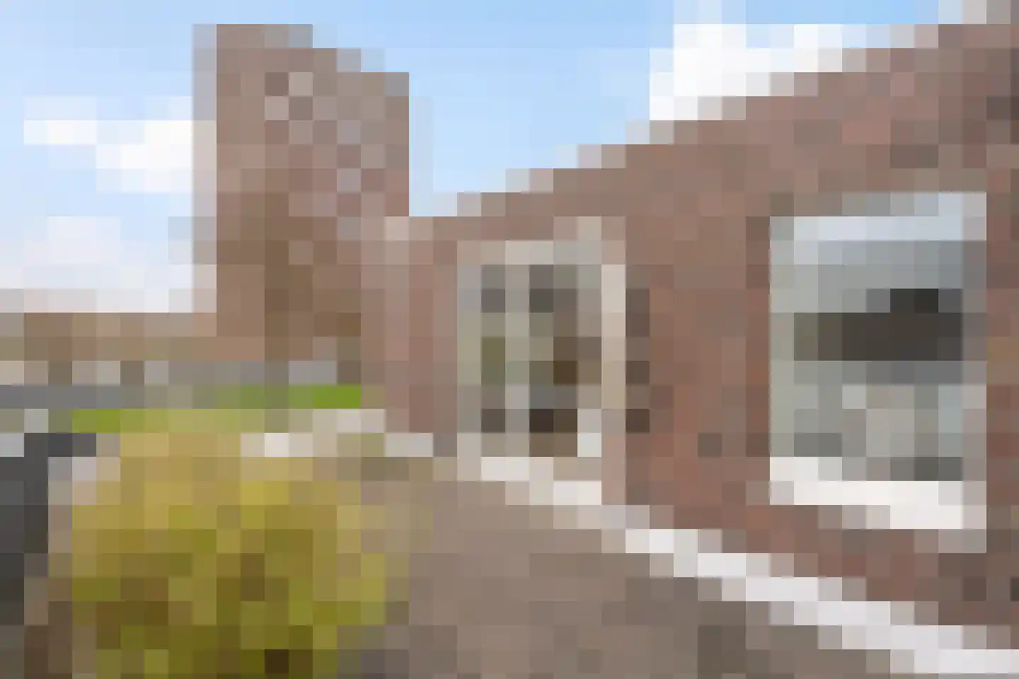 Beeldsnijderstraat 154 Zwolle thumbnail 25