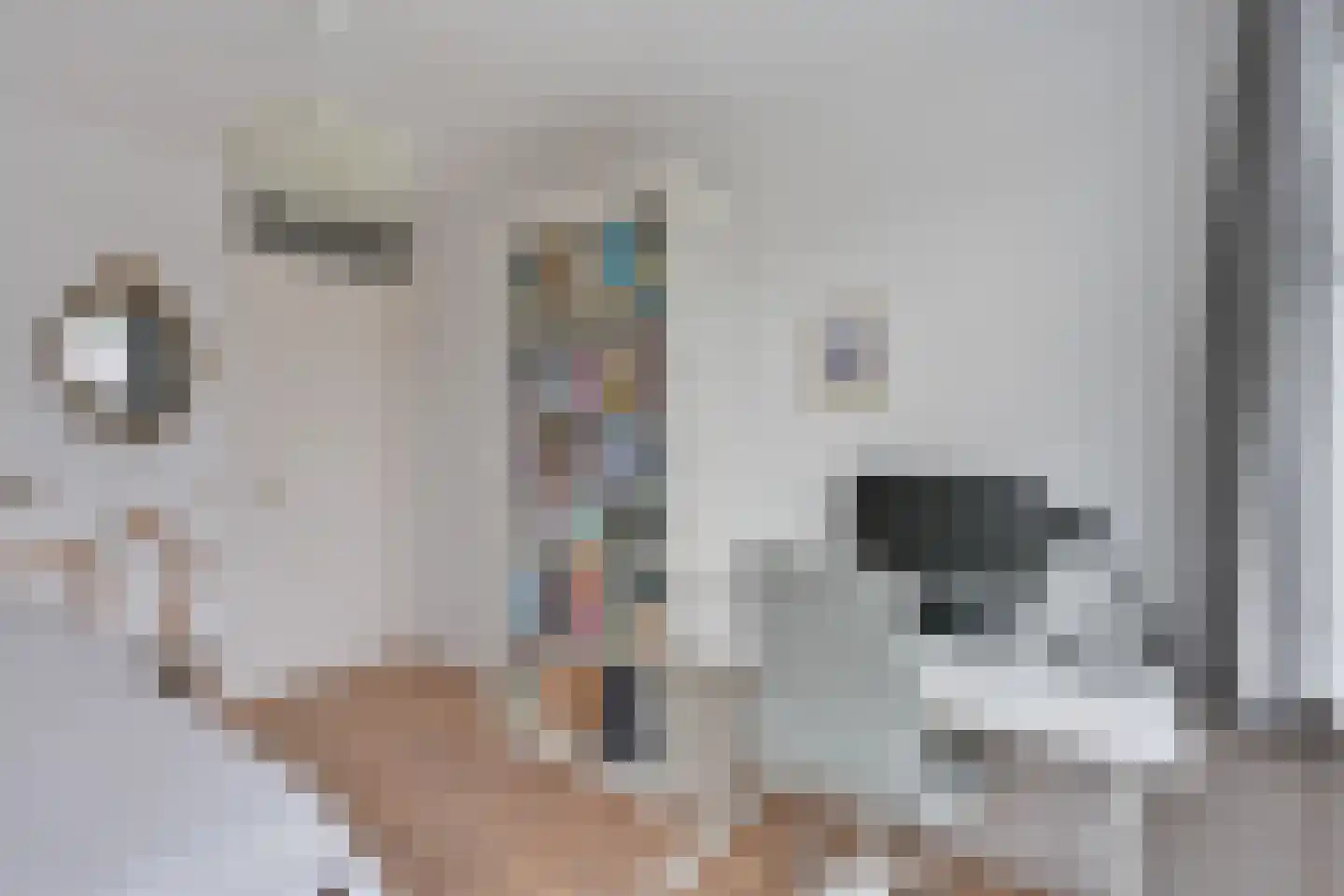Beeldsnijderstraat 154 Zwolle thumbnail 31