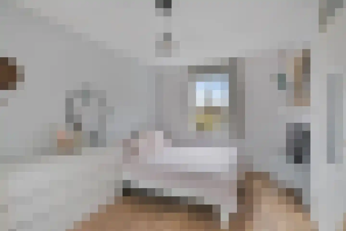 Beeldsnijderstraat 154 Zwolle thumbnail 32