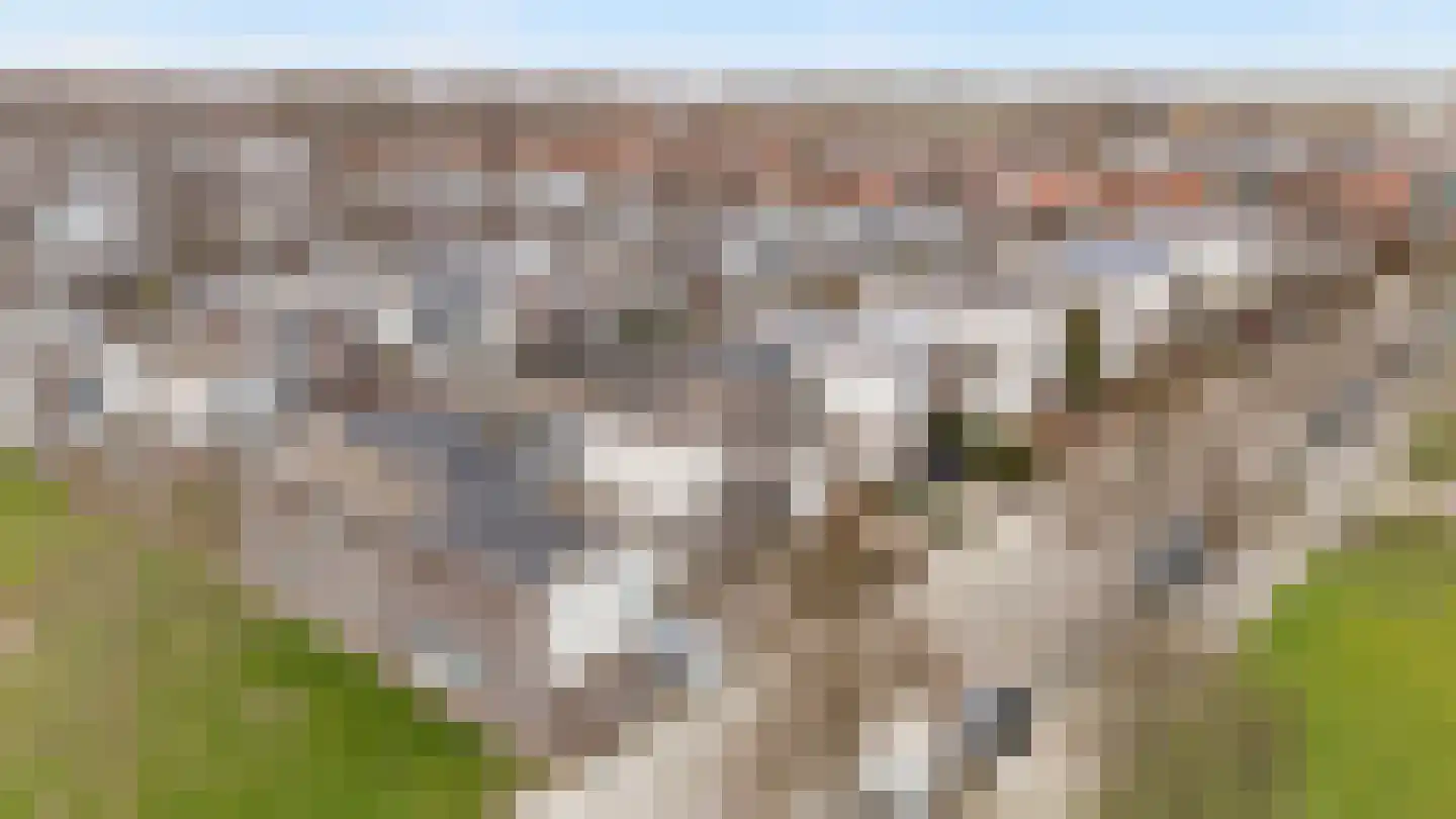 Beeldsnijderstraat 154 Zwolle thumbnail 35