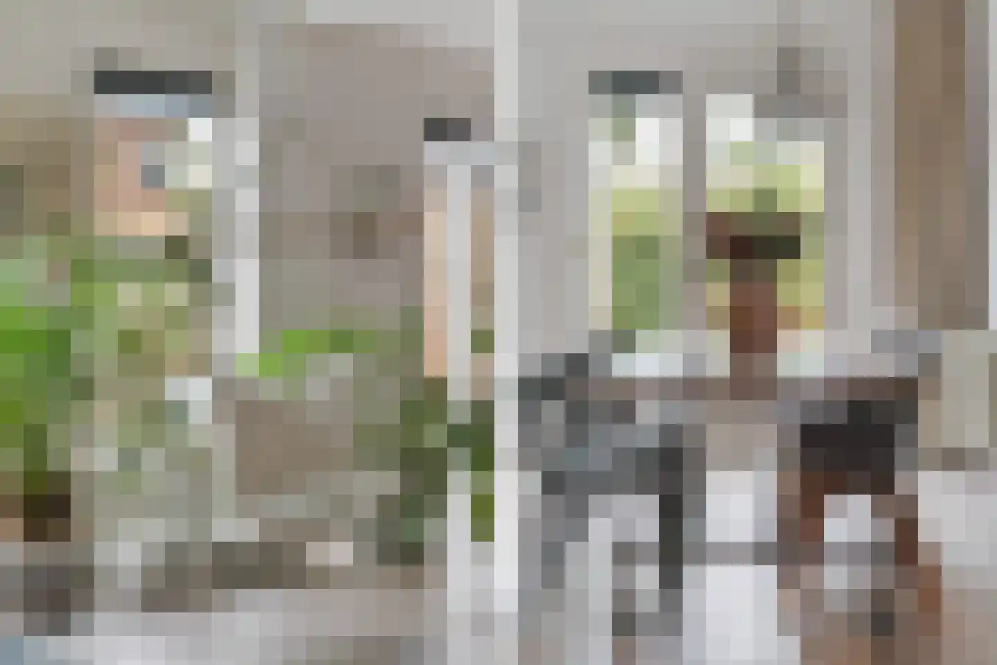 Beeldsnijderstraat 154 Zwolle thumbnail 7
