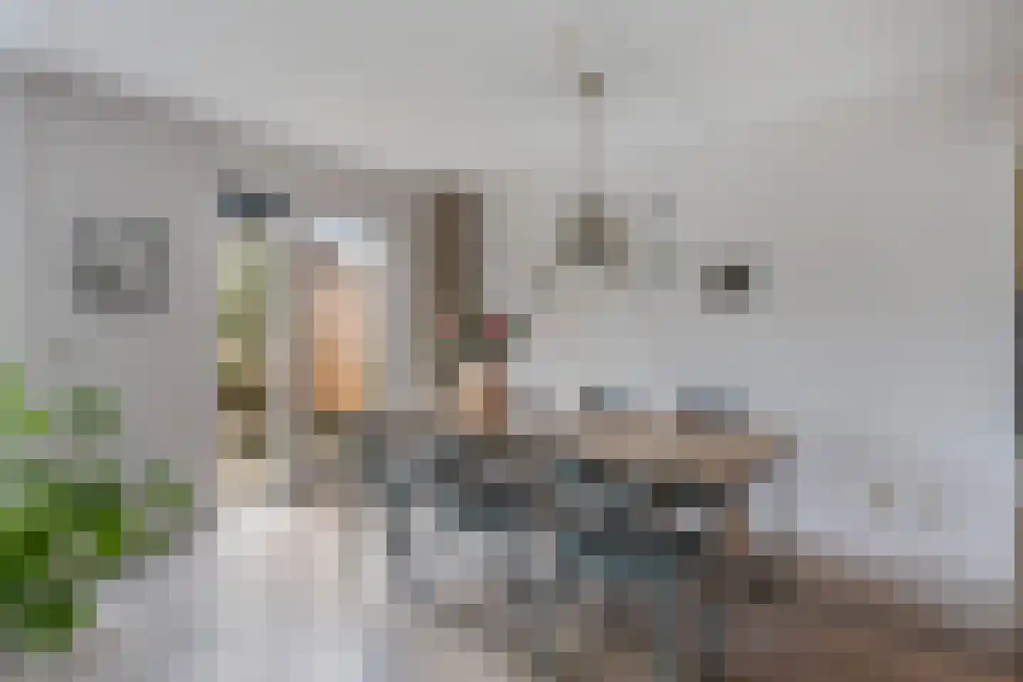 Beeldsnijderstraat 154 Zwolle thumbnail 8