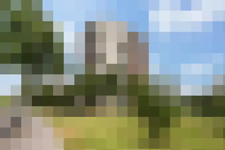 Beeldsnijderstraat 201 Zwolle thumbnail 6
