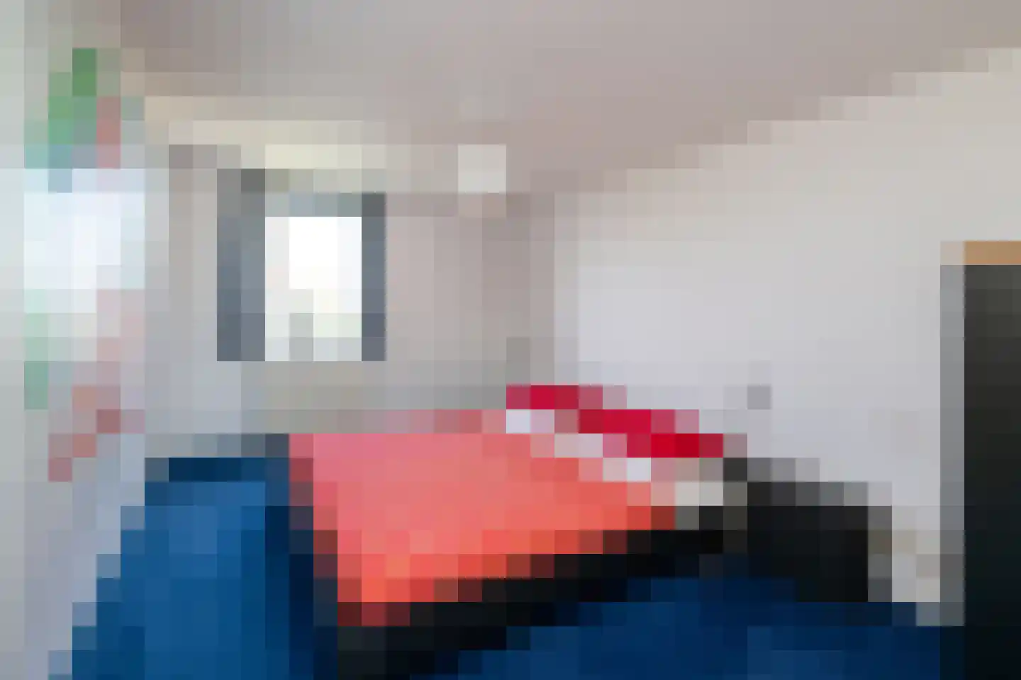 Beeldsnijderstraat 223 Zwolle thumbnail 13