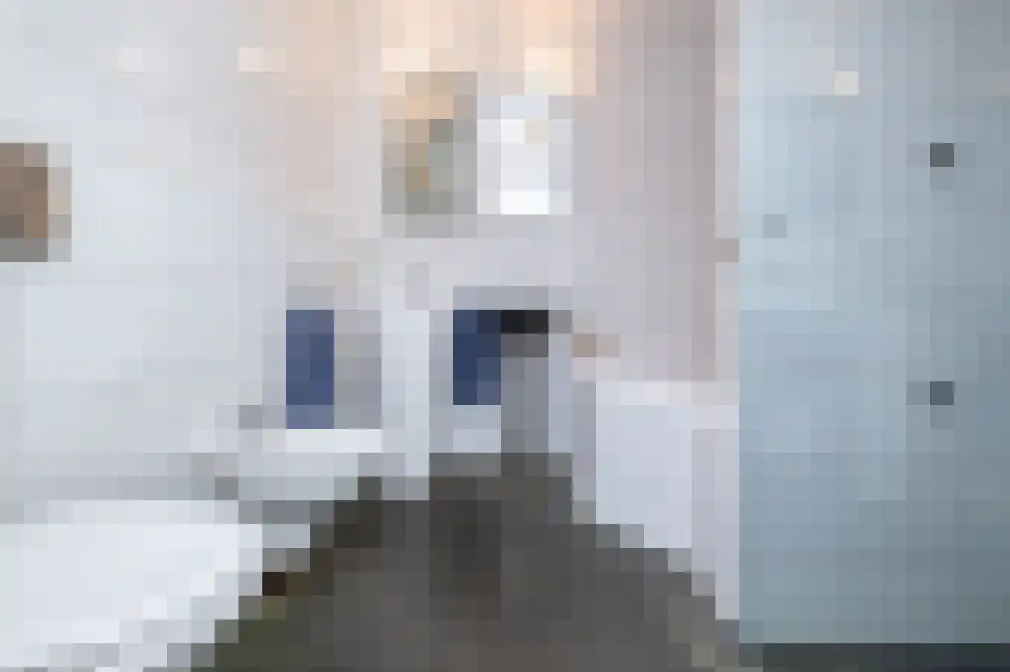 Beeldsnijderstraat 227 A Zwolle thumbnail 32