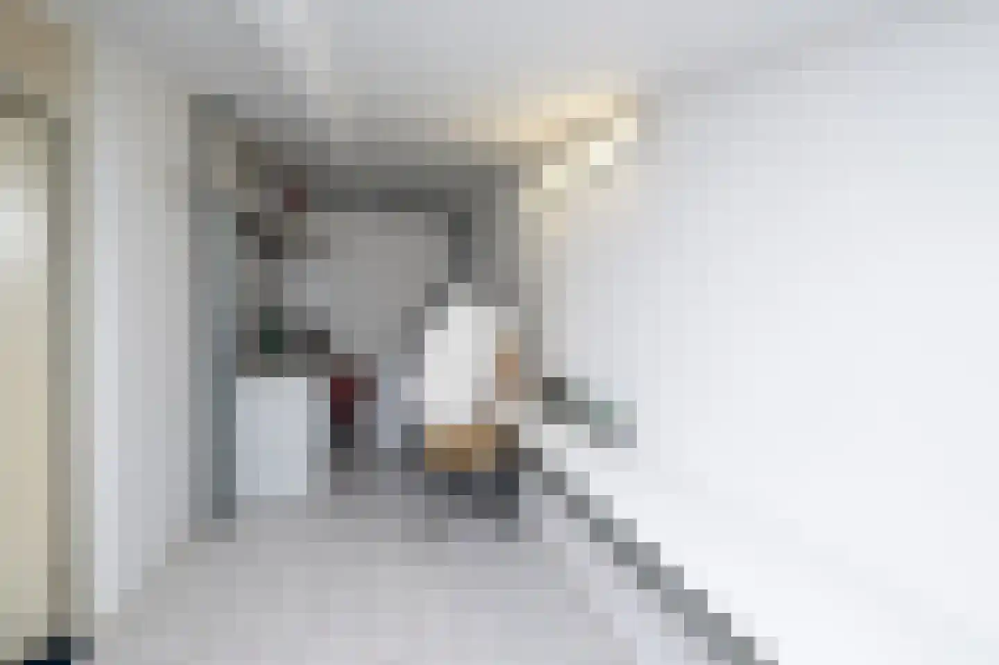 Beeldsnijderstraat 227 A Zwolle thumbnail 34