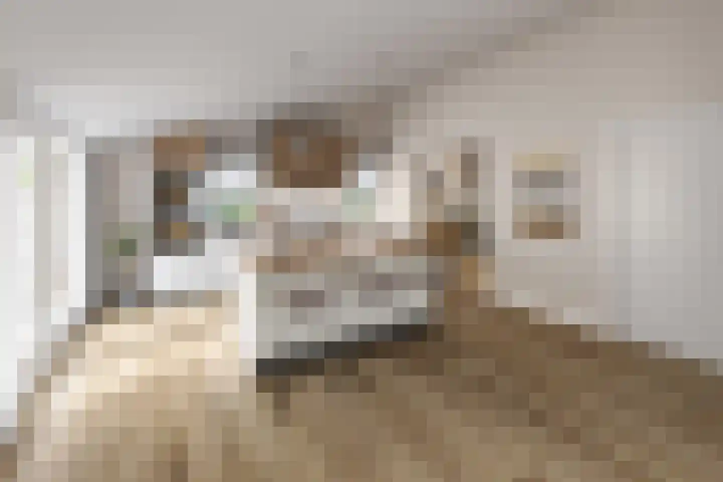 Beeldsnijderstraat 227 A Zwolle thumbnail 9