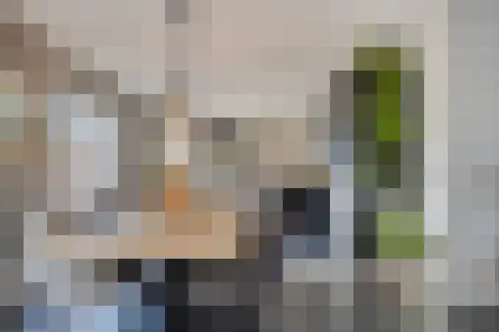 Beeldsweg 1 Zuidland thumbnail 12