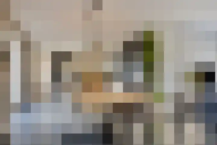 Beeldsweg 1 Zuidland thumbnail 13