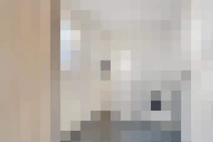 Beeldsweg 1 Zuidland thumbnail 17