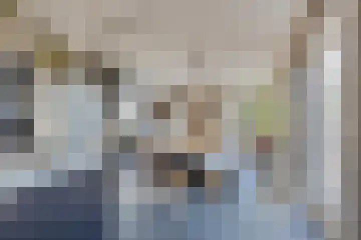 Beeldsweg 1 Zuidland thumbnail 18