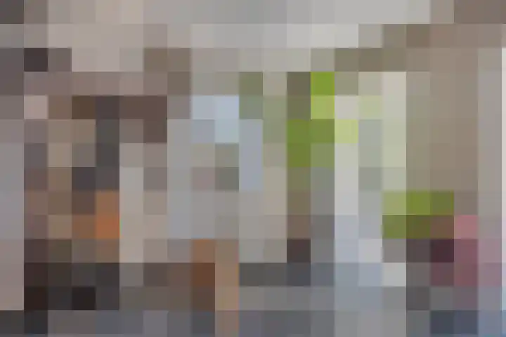 Beeldsweg 1 Zuidland thumbnail 19